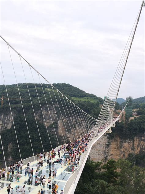 Zhangjiajie Grand Canyon Glass Bridge By Haim Dotan Ltd Bridges