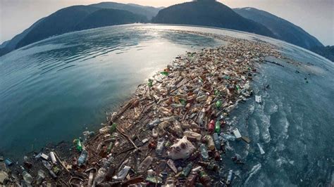 Wwf Inquinamento Da Plastica Negli Oceani Quadruplicato Entro Il