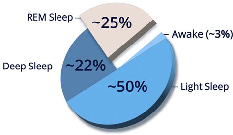 REM Sleep and the 4 Stages of Sleep