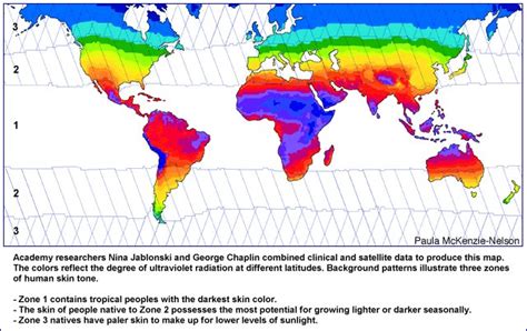 Skin Color Map Of The World - Map