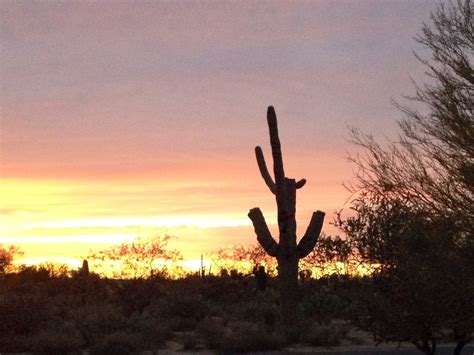 Tucson Arizona Celestial Sunset