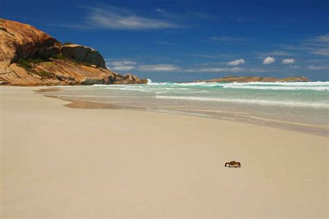 7 Best Locations For Free Camping Esperance