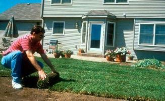 Sod Supplier Installation & Delivery in Northern California - Zamora ...