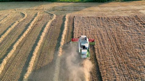 July Ukraine Bucha Harvester On A Wheat Field Harvests Top