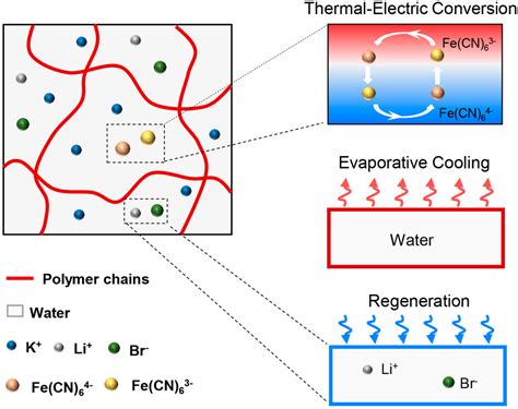 Evaporative Cooling Biology