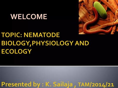 Nematology Nematode Biologyecology Ppt Free Download