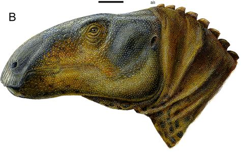 Pictures And Profiles Of Duck Billed Dinosaurs