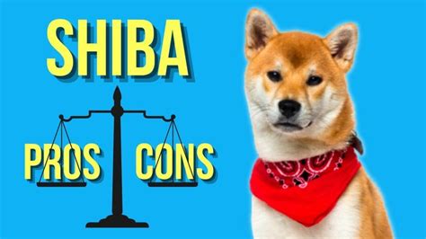 Must Know Shiba Inu Pros And Cons Before You Get One Youtube