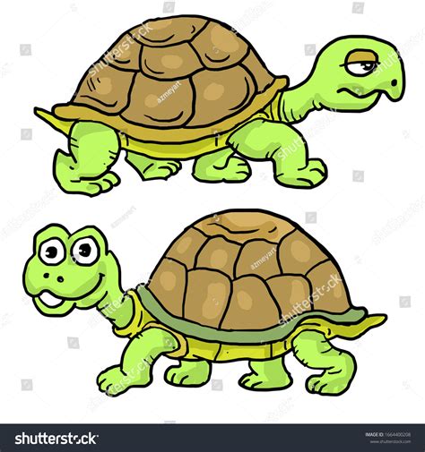 Cartoon Two Turtles Slowly Walking Stock Vector Royalty Free