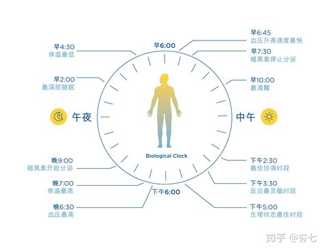 改善睡眠质量知道这点就足够了用科学知识来睡个好觉 知乎