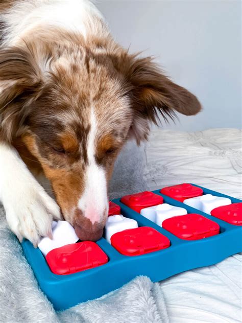 Nina Ottosson игра-головоломка для собак Brick, 2 (средний) уровень ...
