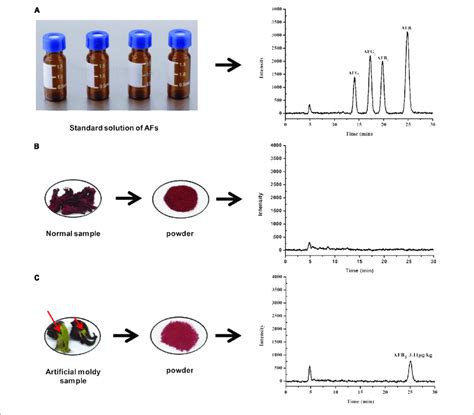 Typical Hplc Fld Chromatograms Of A Afs Standard Solution B