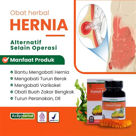 Jual Obat Hernia Turun Berok Pria Turun Berok Dewasa Untuk Turun