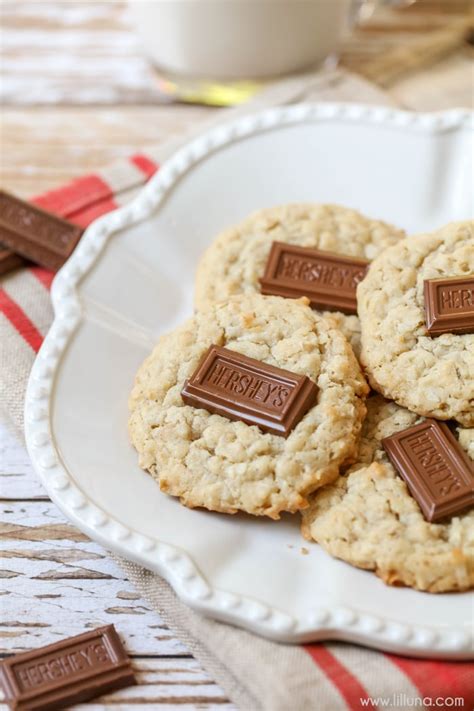 Chocolate Coconut Oatmeal Cookies Ready In Min Lil Luna