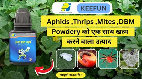 Pi Keefun Insecticide Tolfenpyrad Ec