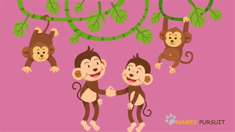 Baby Monkey Names (Cute & Fun)