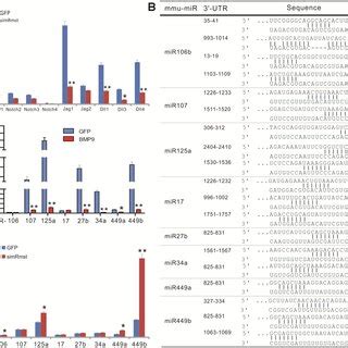 Rmst Modulates Notch Signaling Pathway By Neutralizing A Panel Of