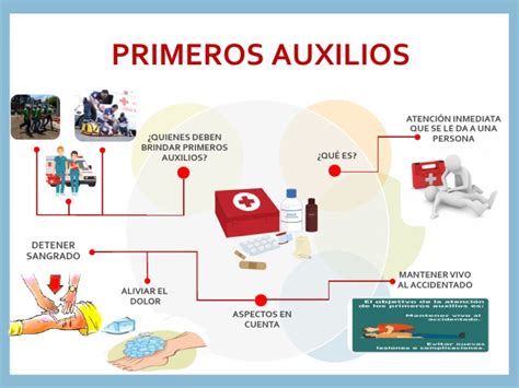 Mapa Mental Primeros Auxilios 2do C Educacion Fisica Miguel Pdf