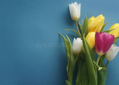 Yellow White Roses Tulips On A Light Blue Delicate Blue Sky Background