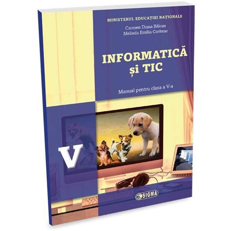 Informatica Si Tic Clasa Manual Cd Carmen Diana Baican