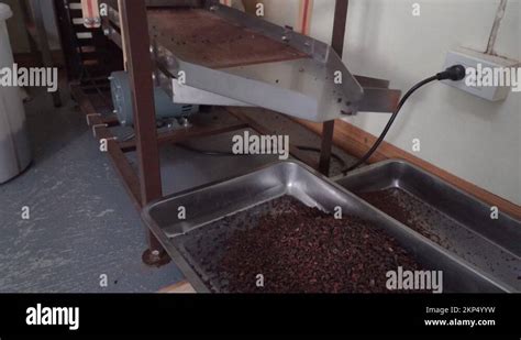 Winnowing Cocoa Beans Stock Videos Footage HD And 4K Video Clips