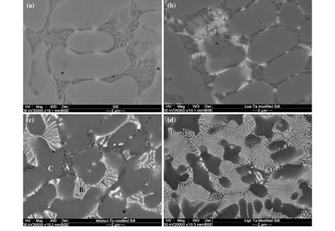 Microstructural Changes In Stellite Alloy Coating With Ta Addition As