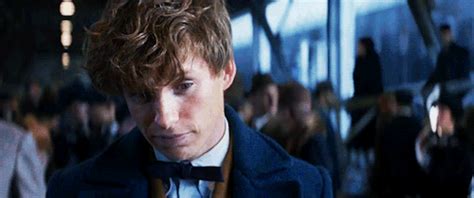 Newt Scamander E O Impacto De Um Protagonista Autista Em Uma Grande Saga