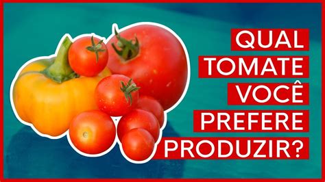 Conhe A Os Tipos De Tomates Mais Produzidos No Brasil Mundo Agro