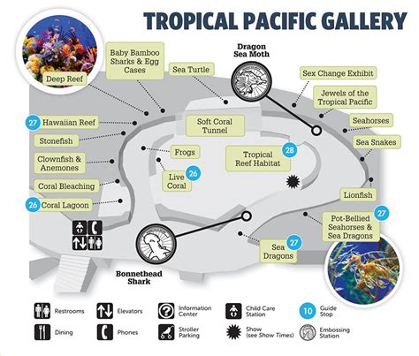 Tropical Pacific Gallery | Tropical Pacific Gallery | Aquarium of the ...