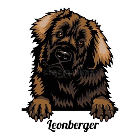 Leonberger Dog Black