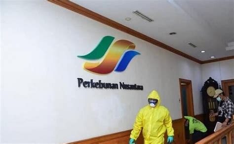 Berita Sawit Melalui Palmco Holding Ptpn Bakal Melantai Ke Bursa