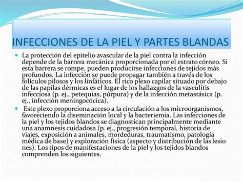 Infecciones De La Piel Y Partes Blandas Julio Brambilla Udocz