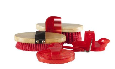 Щетка для лошадей: зачем нужна, как пользоваться, виды