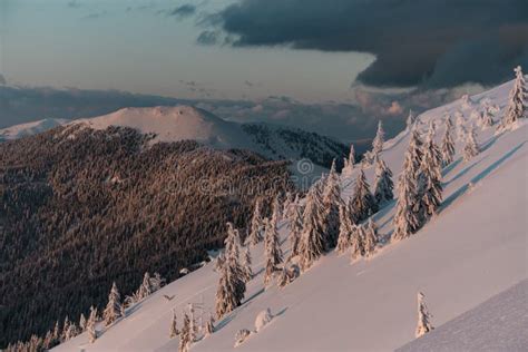 Great View of Snow-covered Mountain Slope and Mountain Landscape Stock Photo - Image of spruce ...