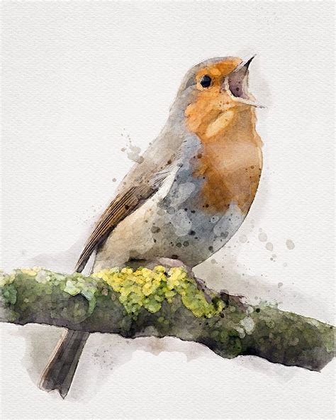 ROBIN Artwork, Robin Watercolor Bird on Branch, Robin Painting ...