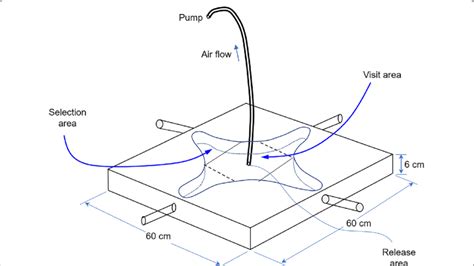 Pattern diagram of four-arm olfactometer (modified from Pettersson [30]) | Download Scientific ...