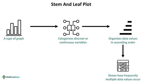 Stem And Leaf Plot - What Is It, Examples, How To Make & Read?