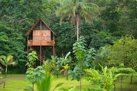 Airbnb is Now Renting Out Private Islands and Luxury Jungle Treehouses