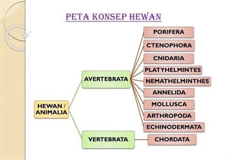 Peta Konsep Sistem Gerak Pada Hewan Dan Tumbuhan Langka Imagesee