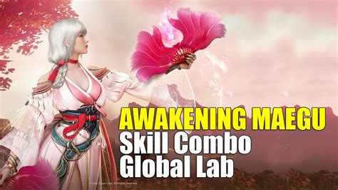 Awakening Maegu PVE Skill Combo Global Labs Maintaining 10 Crit Dmg