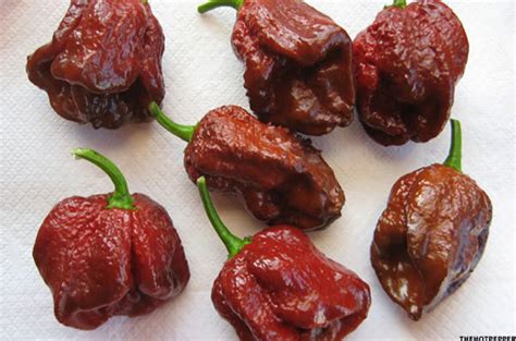 12 Hottest Chili Peppers In The World And The Three Best For Cooking Chili Thestreet