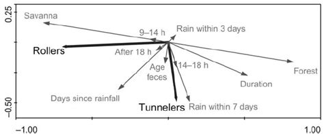 RDA Ordination Biplot Of The Roller And Tunneler Dung Beetle Guilds And