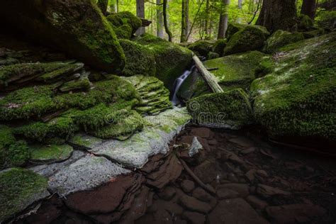 Waterfall Water Stream in Black Forest Stock Photo - Image of ditch ...