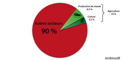 Impact Environnemental De La Production De Viande Amikinos