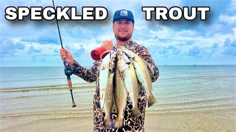 Wade Fishing For Limits Of Speckled Trout With Topwater Lures Catch