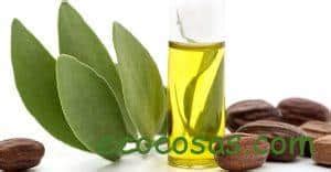 Aceite De Jojoba Propiedades Beneficios Y Para Qu Sirve