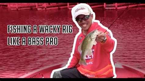 Learn To Fish Wacky Rigs Like A Pro Youtube