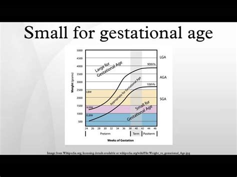 Small For Gestational Age