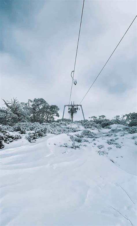 Does It Snow In Australia? The Full Guide To Seeing Snow in Australia