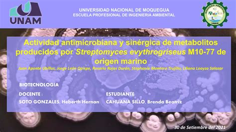 Metabolitos De Interes Biotecnologicos Primarios Y Secundarios